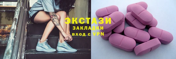 стаф Инта