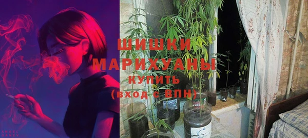 молекула духа Семёнов