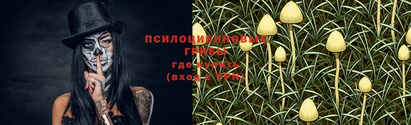гидропоника Абинск