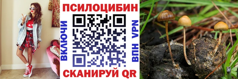МЕГА ССЫЛКА Инза Псилоцибиновые грибы Cubensis наркошоп